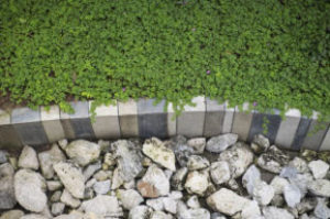 Landscape Architecture