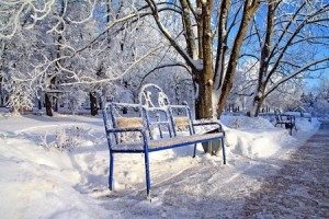 Landscape Consulting