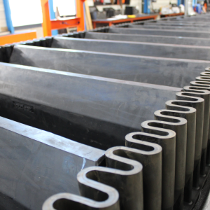 Social5 Photos - 2026-03-25T155640.729